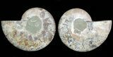 Cut & Polished Ammonite Fossil - Crystal Pockets #45503-1